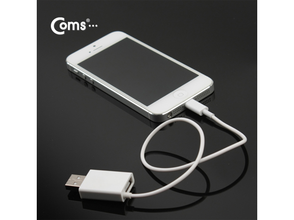 아이폰5 케이블 (USB M/F연장), 30cm [IT755]
