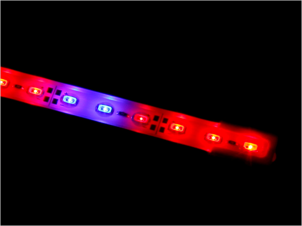 디바이스마트,LED/LCD > LED 인테리어조명 > 식물성장용 LED,SZH-LD,12V 5630 LED바 식물성장용 에폭시 방습코팅 완제품 50cm (비율선택) [SZH-LD103],사이즈 : 500mm / 전원 : 12V , 13.2W / 색상 : 레드(Red) , 블루(Blue)고휘도 5630 칩LED가 36개 장착되어있는 총길이 50cm 의 식물성장용 LED바