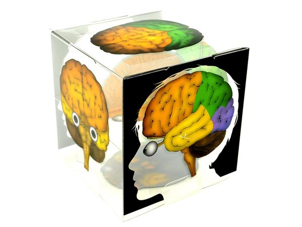 디바이스마트,MCU보드/전자키트 > 교육용키트/로봇 > 교육용키트 > 재미있는키트/기타,스터디랜드,뇌 구조 모형 큐브 5명 set,뇌의 내부및 외부 구조를 입체적으로 관찰할 수 있는 실험 (디자인 등록:30-2015-0007759)