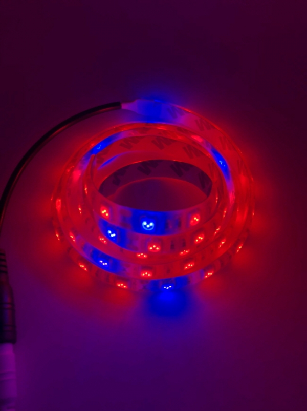 디바이스마트,LED/LCD > LED 인테리어조명 > 식물성장용 LED,유니즈,12V 5050 에폭시 방수형 식물성장 LED 스트립 (DC잭타입) [NTY-LD001],색상 : 레드(Red) , 블루(Blue) / 일조량이 적은 실내와 베란다 등 가정에서 손쉽게 식물을 재배 / (비율 - 레드7:블루1 , 1m에 한개씩 DC잭이 작업되어 출고)