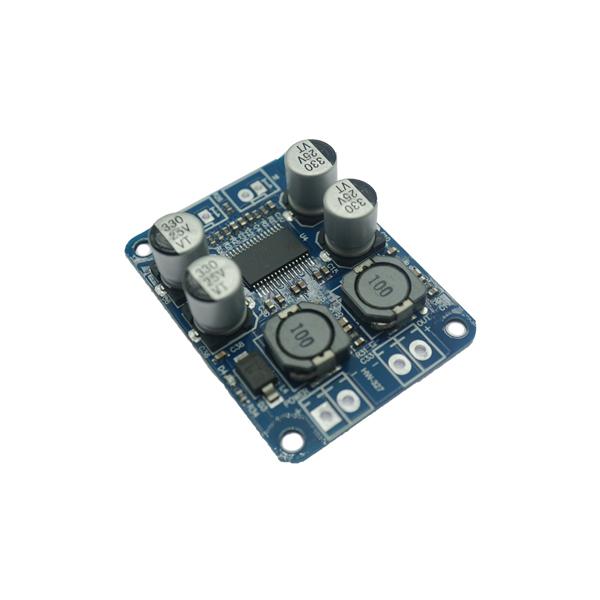 TPA3118 1채널 60W 모노 디지털 앰프 모듈 [VLT-AMP008]