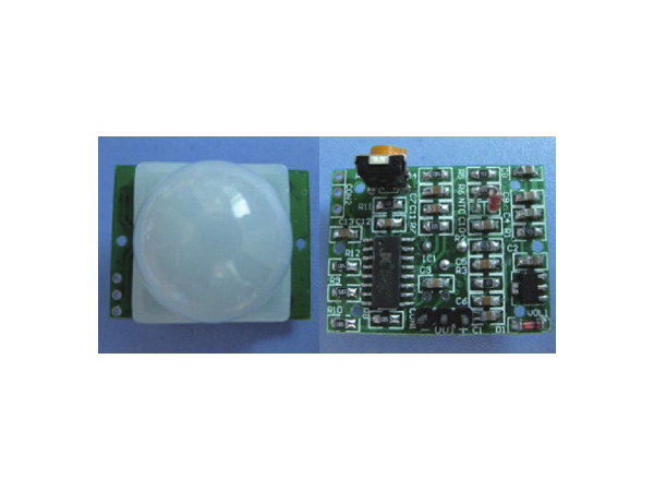PIR Human Sensor Pyroeletric Infrared(DP-PIR8002)