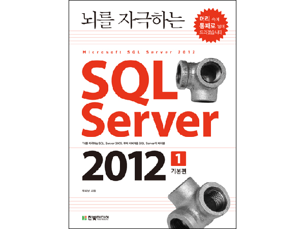뇌를 자극하는 SQL Server 2012 (1권, 기본편)