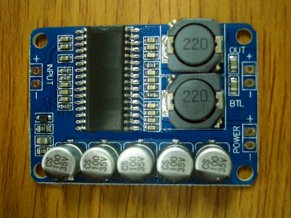 디지털 모노 오디오 앰프 - Max 30W (NA-DAMP30)