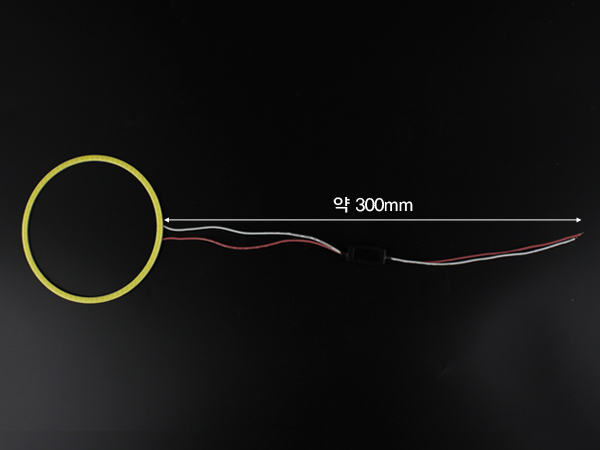 디바이스마트,LED/LCD > LED 인테리어조명 > 장식용 LED,SZH-LD,에폭시코팅 칩LED 링 모듈 (100mm) [SZH-LD094],사이즈 : 100mm / 전원 : 9~12V / 색상 : 화이트(White) , 블루(Blue)
