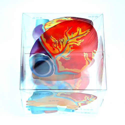 디바이스마트,MCU보드/전자키트 > 교육용키트/로봇 > 교육용키트 > 재미있는키트/기타,스터디랜드,심장 모형 큐브 5명 set,심장의 내부및 외부 구조를 입체적으로 관찰할 수 있는 실험 (디자인 등록:30-2015-0007759)