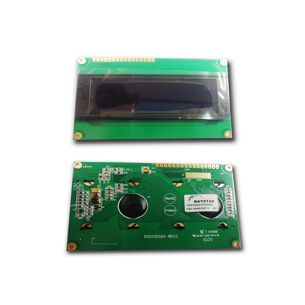 REG010032AYPP5N00000