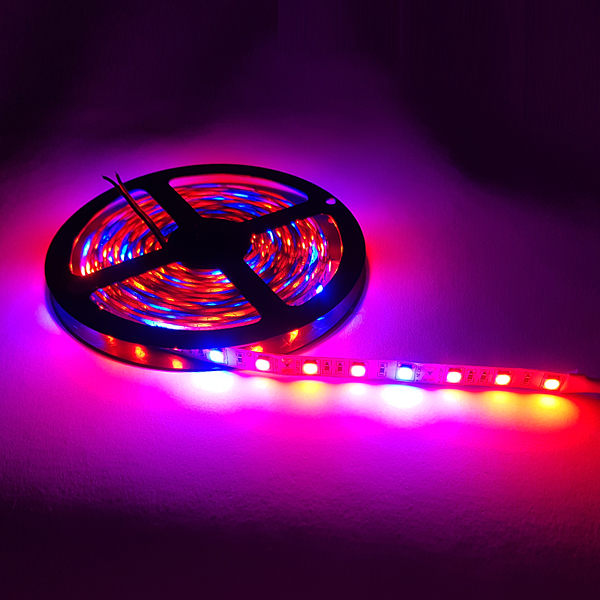 12V 5050 식물성장용 Flexible 일반(비방수) LED 3R1B [SZH-LD0057]