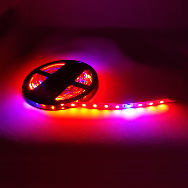 12V 5050 식물성장용 Flexible 일반(비방수) LED 8R1B [SZH-LD0061]