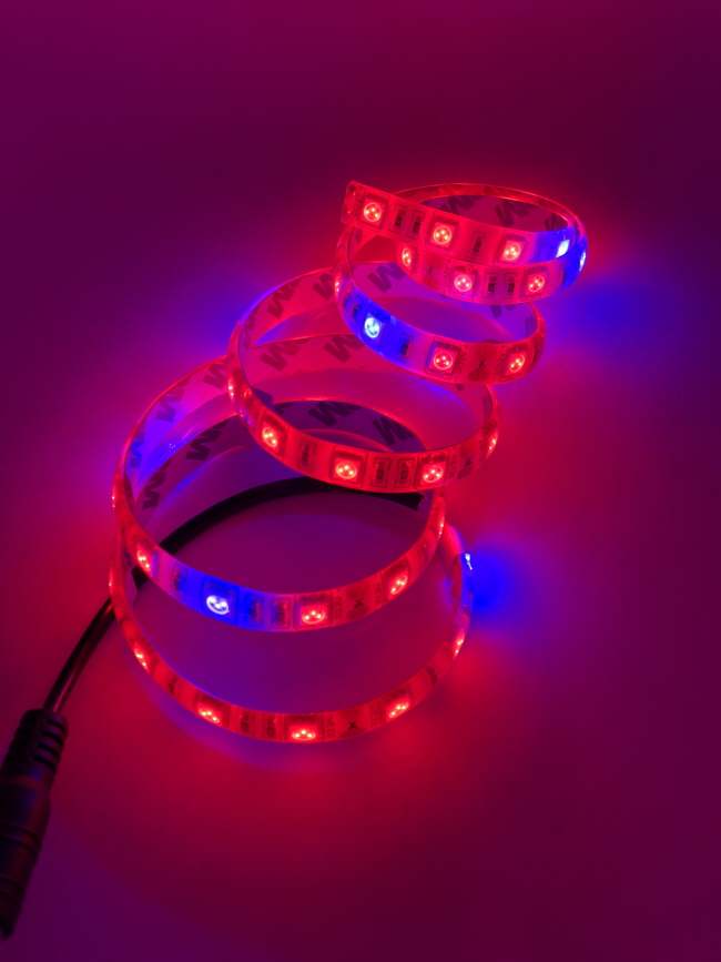 디바이스마트,LED/LCD > LED 인테리어조명 > 식물성장용 LED,유니즈,12V 5050 에폭시 방수형 식물성장 LED 스트립 (DC잭타입) [NTY-LD001],색상 : 레드(Red) , 블루(Blue) / 일조량이 적은 실내와 베란다 등 가정에서 손쉽게 식물을 재배 / (비율 - 레드7:블루1 , 1m에 한개씩 DC잭이 작업되어 출고)