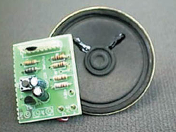 앵무새 소리 재생기(FK257)