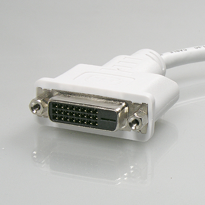 디바이스마트,케이블/전선 > 영상/음향 케이블 > HDMI/DVI 케이블,Coms,Mini DVI 젠더 - DVI 변환용/ 맥북 호환용 [G2889],Mini DVI 젠더 / Mini DVI MALE - DVI-D FEMALE / 약 20cm