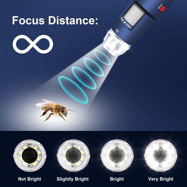 Jiusion HD 2MP USB Digital Microscope / 디바이스마트
