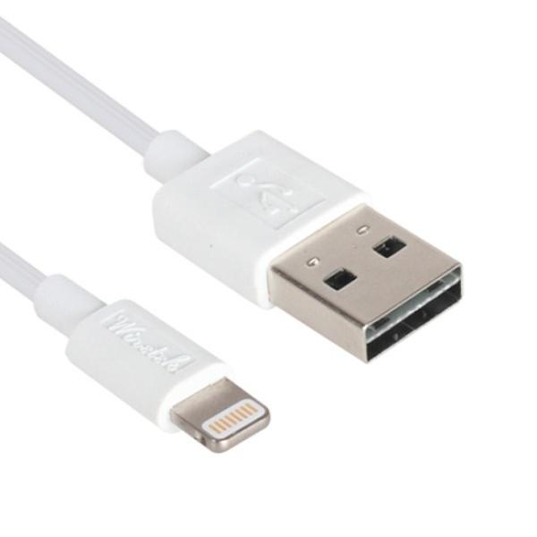 [MFi 인증] NETmate 애플 라이트닝 8핀 양면인식 USB 케이블 [길이선택]|[2m/NMC-L520V]|