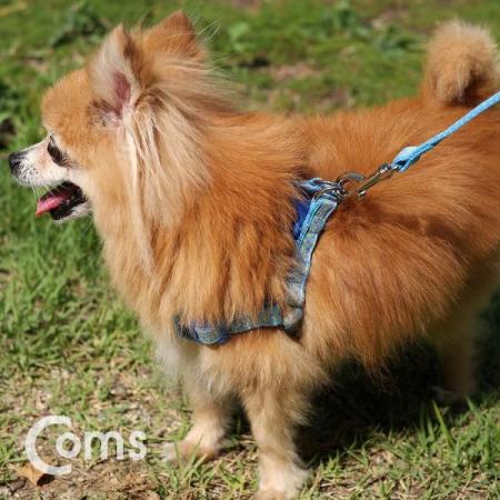 디바이스마트,사무/생활/서적 > 차량/생활/IOT > IOT/생활/취미,Coms,강아지/애견 가슴줄 / 하네스 / 목줄 / 리드줄 / Blue / 1.2M / 둘레 35~50cm[ID207],하네스 / 목줄 / 리드줄 / Blue / 1.2M / 둘레 35~50cm