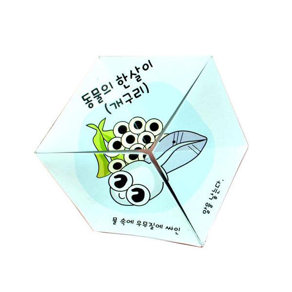 개구리 한살이 퍼즐 10명 set