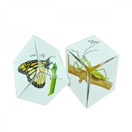 디바이스마트,오픈소스/코딩교육 > 과학 교구 > 생물/인체 과학교구,스터디랜드,곤충의 탈바꿈 5명 set,동물의 완전 탈바꿈, 불완전 탈바꿈 과정을 퍼즐처럼 알아보는 실험입니다.