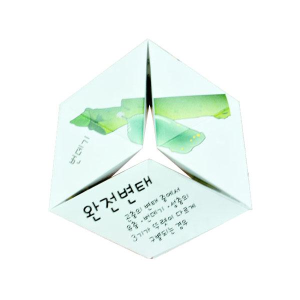 곤충의 탈바꿈 5명 set