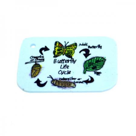 디바이스마트,오픈소스/코딩교육 > 과학 교구 > 물리/물질 과학교구,스터디랜드,구운 종이 플라스틱 5명 set,종이를 구우면 플라스틱이 되는 과정을 알아보는 실험입니다.