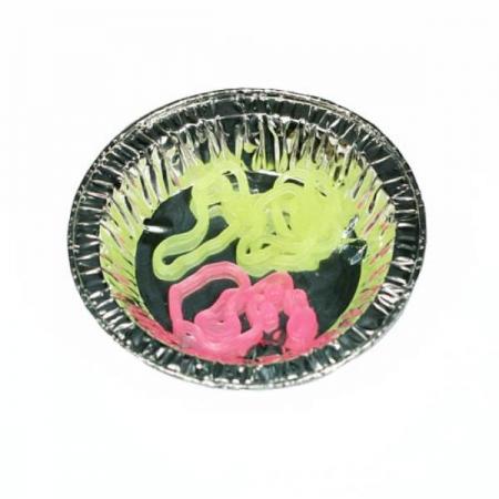 디바이스마트,오픈소스/코딩교육 > 과학 교구 > 화학/환경 과학교구,스터디랜드,꿈틀이 애벌레 5명 set,터지지 않는 형광색의 예쁜 애벌레를 만들어 보세요.