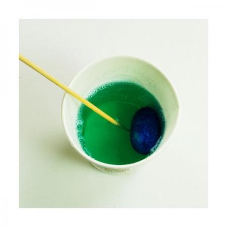 디바이스마트,오픈소스/코딩교육 > 과학 교구 > 생물/인체 과학교구,스터디랜드,누에고치의 변신 - 명주실 5명 set,누에고치를 관찰하고 비단실을 얻는 과정을 알아보세요.