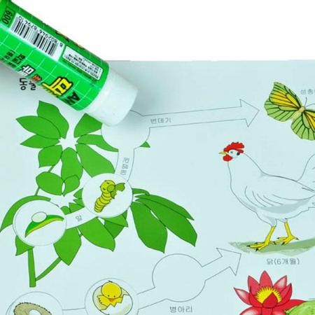 디바이스마트,오픈소스/코딩교육 > 과학 교구 > 생물/인체 과학교구,스터디랜드,동물의 한살이 10명 set,도면을 이용하여 여러 가지 동물의 한살이를 알아보는 실험입니다.