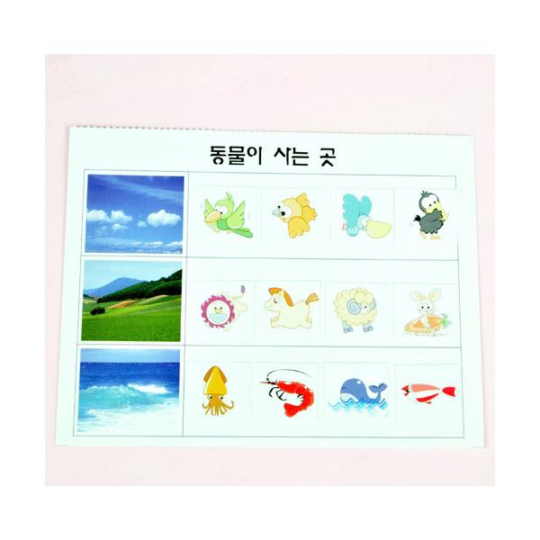 동물이 사는 곳 10명 set