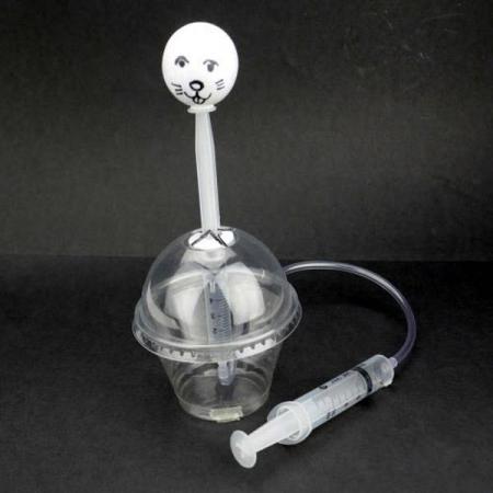 디바이스마트,오픈소스/코딩교육 > 과학 교구 > 물리/물질 과학교구,스터디랜드,두더지 장난감 5명 set,보이지 않는 공기를 이동시켜 움직이는 두더지 장난감을 만들어보세요.