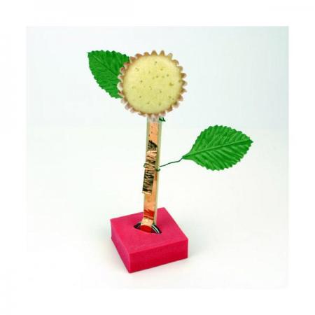 디바이스마트,오픈소스/코딩교육 > 과학 교구 > 물리/물질 과학교구,스터디랜드,머핀 해바라기 5명 set,발포 우레탄과 광섬유를 이용하여 반짝 반짝 빛을 내는 머핀 해바라기 원리를 알아보는 실험입니다.