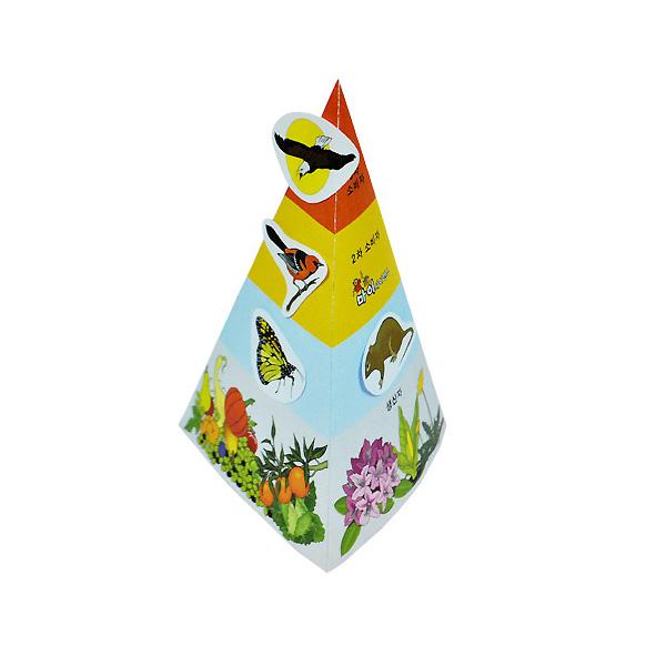 먹이 피라미드 10명 set