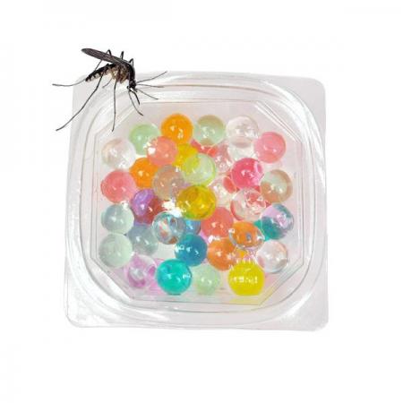 디바이스마트,오픈소스/코딩교육 > 과학 교구 > 물리/물질 과학교구,스터디랜드,모기 퇴치 방향제 5명 set,모기퇴치 방향제를 만들어 기체의 확산 운동을 알아보세요.