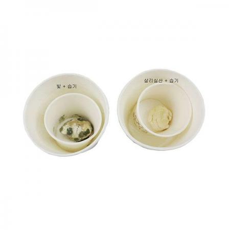 디바이스마트,오픈소스/코딩교육 > 과학 교구 > 생물/인체 과학교구,스터디랜드,방부제와 곰팡이 5명 set,밀가루와 방부제를 이용하여 가공식품의 인체 안전에 미치는 영향을 알아보는 실험입니다.