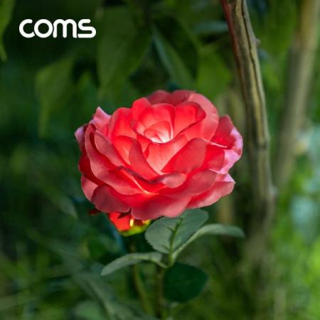 디바이스마트,LED/LCD > LED 인테리어조명 > 장식용 LED,Coms,태양광 LED 정원등 / Red 장미 / 600mAh [SS966],태양광 LED 정원등 / Red 장미 / 600mAh