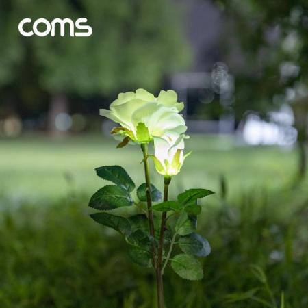 디바이스마트,LED/LCD > LED 인테리어조명 > 장식용 LED,Coms,태양광 LED 정원등 / White 장미 / 600mAh [SS965],태양광 LED 정원등 / White 장미 / 600mAh