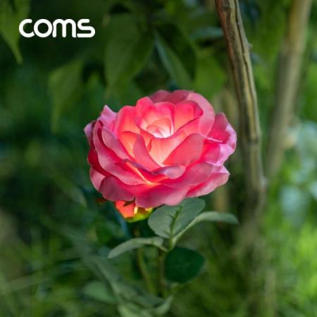 디바이스마트,LED/LCD > LED 인테리어조명 > 장식용 LED,Coms,태양광 LED 정원등 / Pink 장미 / 600mAh [SS964],태양광 LED 정원등 / Pink 장미 / 600mAh