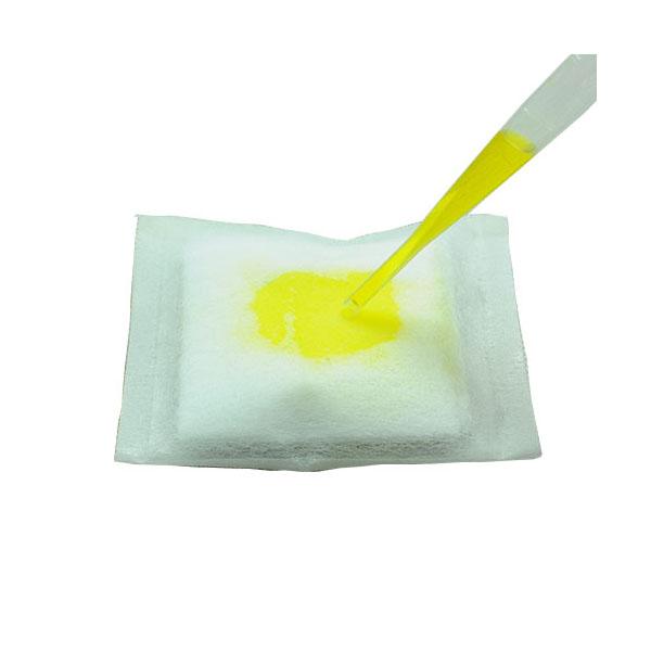 뽀송뽀송 기저귀 5명 set