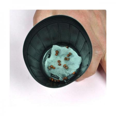 디바이스마트,오픈소스/코딩교육 > 과학 교구 > 생물/인체 과학교구,스터디랜드,새싹 키우기 5명 set,미니화분을 이용하여 새싹을 키워 보세요.