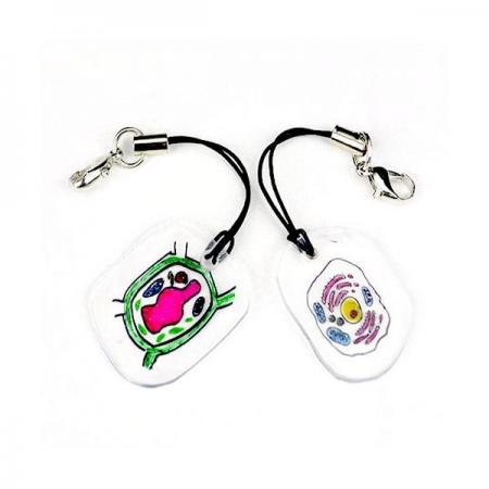 디바이스마트,오픈소스/코딩교육 > 과학 교구 > 생물/인체 과학교구,스터디랜드,PS 세포 모형 핸드폰 고리 5명 set,폴리스티렌을 이용하여 세포모형 핸드폰 고리를 만들어 열가소성을 알아보는 실험입니다.