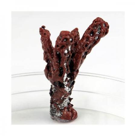 디바이스마트,오픈소스/코딩교육 > 과학 교구 > 화학/환경 과학교구,스터디랜드,숨어있는 구리 찾기 5명 set,황산구리 용액 속 숨어 있는 구리를 석출하는 화학 실험 입니다