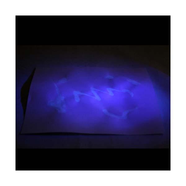 스파이 잉크 5명 set