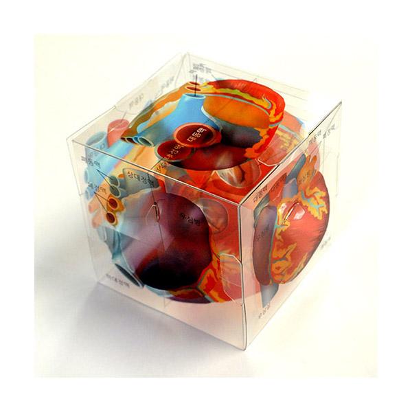 심장 모형 큐브 5명 set