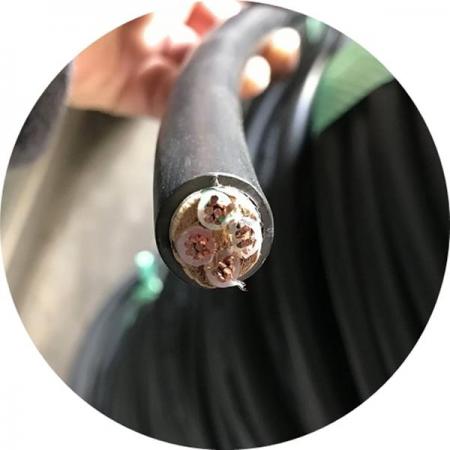 디바이스마트,케이블/전선 > KS/UL/절연전선 > 전력전선 > TFR-CV 전력선,거상인,#TFR-CV 전력선 케이블 전선 16SQ*2C [1M],TFR-CV 전력용 전선 / 규격 : 16SQ × 2C / 색상 : 검정색 / 길이 : 1M / 미터단위로 절단 판매되는 상품입니다.