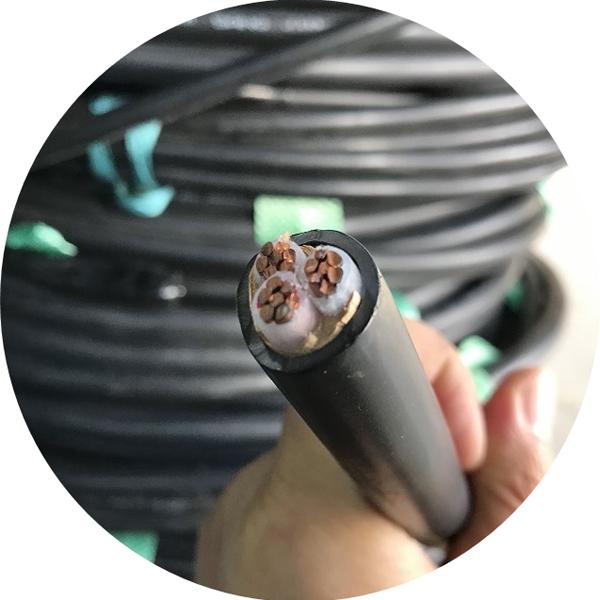 #TFR-CV 전력선 케이블 전선 50SQ*3C [1M]