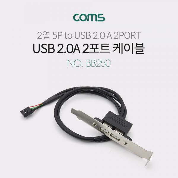 USB 포트 35cm/2열 5핀/ USB 2.0 A / Black [BB250]