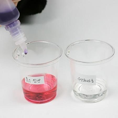 디바이스마트,오픈소스/코딩교육 > 과학 교구 > 화학/환경 과학교구,스터디랜드,양배추 지시약 5명 set,자주색 양배추의 색소를 이용하여 산, 염기를 알아보세요