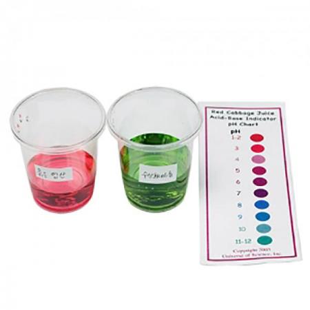 디바이스마트,오픈소스/코딩교육 > 과학 교구 > 화학/환경 과학교구,스터디랜드,양배추 지시약 5명 set,자주색 양배추의 색소를 이용하여 산, 염기를 알아보세요
