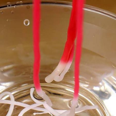 디바이스마트,오픈소스/코딩교육 > 과학 교구 > 물리/물질 과학교구,스터디랜드,열감지 꿈틀이 5명 set,시온물감을 이용하여 꿈틀이(슬라임)를 만들어 보는 실험입니다.