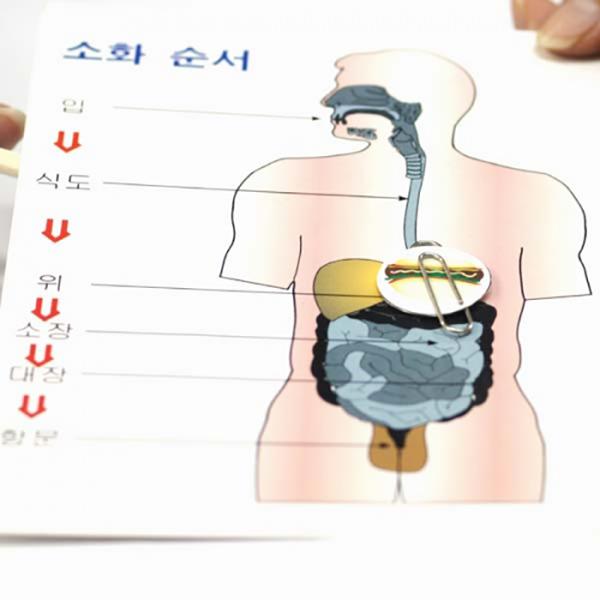 음식이 지나는 길 10명 set