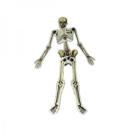 디바이스마트,오픈소스/코딩교육 > 과학 교구 > 생물/인체 과학교구,스터디랜드,인체모형 만들기 10명 set,골격들을 서로 연결하며 몸 속의 뼈에 대하여 알아보는 실험입니다.