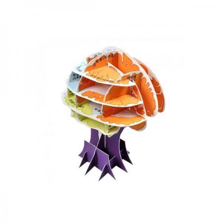 디바이스마트,오픈소스/코딩교육 > 과학 교구 > 생물/인체 과학교구,스터디랜드,입체(3D) 뇌모형 5명 set,뇌구조 모형을 만들어 보고 뇌의 구조와 기능에 대해 알아보세요